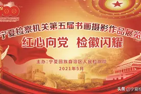 “红心向党 检徽闪耀”宁夏检察机关第五届书画摄影作品展之五——手工剪纸作品图片