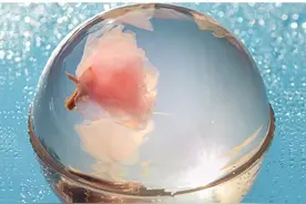 美食配方｜凉粉樱花果冻制作教程，在家轻松完成。图片