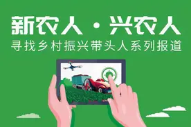 种菜也可以发展成事业！3名香港90后新农人于湾区逐梦现代农业图片