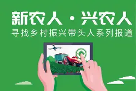 种菜也可以发展成事业！3名香港90后新农人于湾区逐梦现代农业图片
