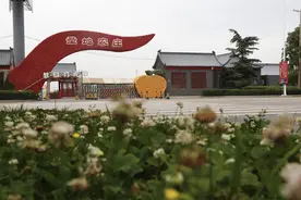 深度教学  沉浸体验 ——山东宁阳乡村振兴学院实践教育基地风采图片