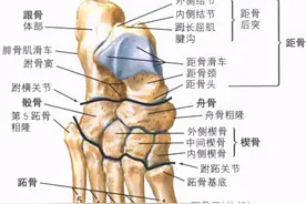 深入了解骰骨综合征图片