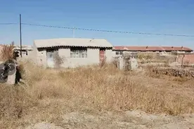 寡孝（乡土小说）图片