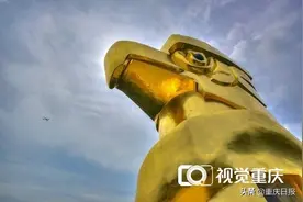 南山大金鹰重披“金装”预计年底竣工迎客图片