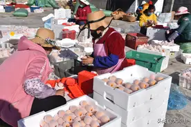 德昌县高丰村依托枇杷产业奏响乡村振兴交响曲图片