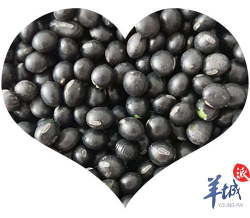 花胶淡菜莲子 汤有什么作用 2026年花胶淡菜莲子 汤有什么作用吗