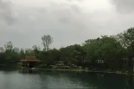莫失心所感，万物尽可期。 ​​图片
