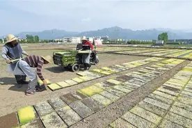 秦岭脚下的西安高新区东大街道西庄村图片
