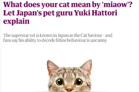 你的猫“喵喵”叫是想表达什么？听听日本明星“猫医生”怎么说图片
