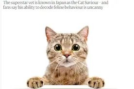 你的猫“喵喵”叫是想表达什么？听听日本明星“猫医生”怎么说图片