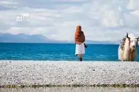 一根鲜血淋漓的牦牛尾巴，毁了战士前程图片