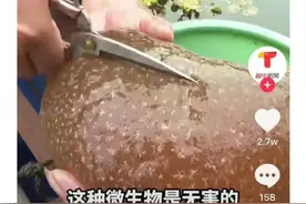 广东一河里“水怪”出没，看起来像“大脑”，专家这样说图片