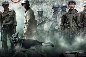 《我的团长我的团》几乎是士兵突击原班人马，为何却没有王宝强？图片