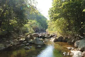 宁波古道探幽 | 大嵩岭古道：溪流潺潺伴客行图片