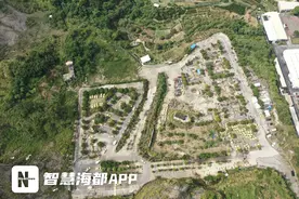 福州一驾校违法硬化林地，作为练车场，7天整治终于复绿图片