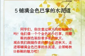 三年级上册语文第五课“铺满金色巴掌的水泥道”课文解析预习图片