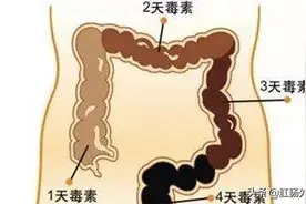 揉肚子好处多，真的能治便秘吗？图片