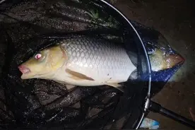 如何准确抛竿图片