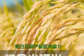 粮食小课堂-稻谷及副产品营养篇⑩图片