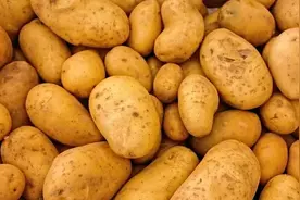 干货 | 土豆违背价格需求定理了吗图片