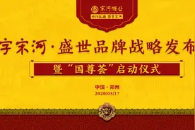 盛世国尊，未来可期！国字宋河高端新品盛世品牌荣耀发布图片