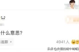 央媒痛批“yyds”，而这个梗的创始人却落网了图片