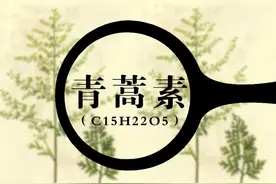 中药现代化的大势所趋，我们的机会在哪？图片