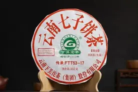 虎山行普洱开汤之——下关传承FTT53-17图片