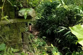 桂林平乐被遗忘古村落，大户人家豪华神秘，残垣断壁间藏宝藏图片