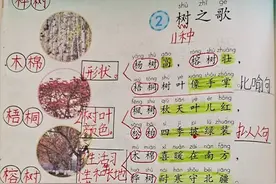 二年级语文上册识字二《树之歌》课文笔记，家长辅导孩子的好帮手图片