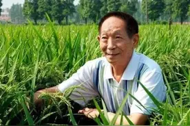 禾下乘凉梦，不悔是初心；中华拓荒人，袁隆平爷爷图片