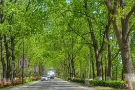 合肥大科学装置集中区三国城路4月30日起全封闭施工！工期5个月图片