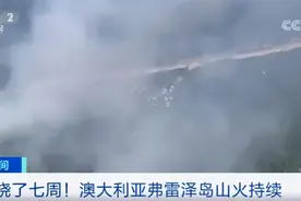火情恶化！澳大利亚山火已烧了弗雷泽岛一半面积图片