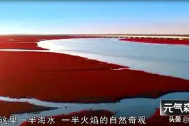 中秋小长假来一场“红绿之旅”，绝对“血赚”图片