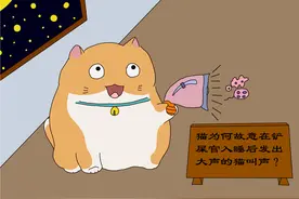 猫为何在夜晚发出猫叫声，猫故意等铲屎官入睡后，猫想引起注意图片