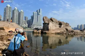 怪事？重庆千年神龟突然出现，居民大量围观！分析：不一定是坏事图片