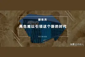 撕裂新东方图片