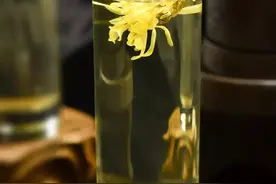初中语文通用《中考名著一本过》-《红岩》-24图片