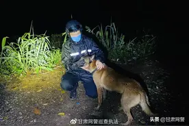 瞬间破防！警犬挡在民警身前，不幸牺牲……图片