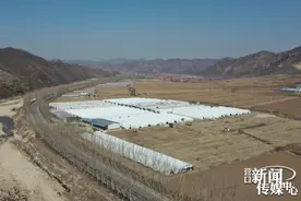 乡村振兴启新程②丨扶贫产业“接二连三” 让乡村生活富又美图片