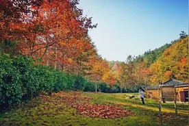 湖北藏了个“小九寨”，5A景区还免门票，现在去看红叶刚刚好图片