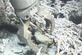 生活在450度火山口的虾，该怎么煮着吃？网友：煮熟也不敢吃视频封面