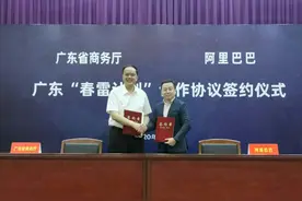 阿里"春雷计划"全面覆盖珠三角，数字化助力中小企业转型升级图片
