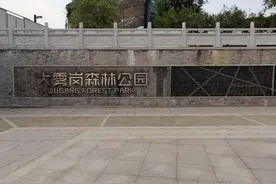 佛山大雾岗森林公园图片