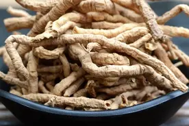 五月有毒，开启吃根模式！图片