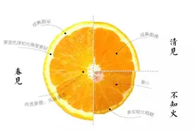 耙耙柑&丑柑&青见丨区别避雷指南图片