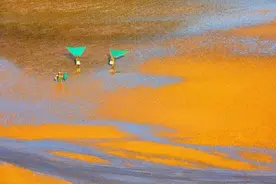 霞浦·每当阳光穿过云层·海面和沙滩都金灿灿的 ​​​​图片
