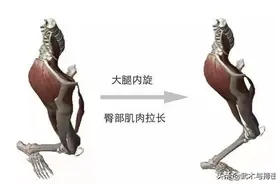 “传拳不传胯”！胯在哪里？怎样开胯？图片
