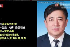 私藏、阅看具有严重政治问题的书籍，哈尔滨市原副市长王沿民被“双开”图片