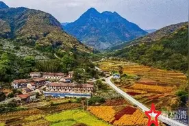 淘金记：穷小子赚13亿美金，成为南非华人首富，最后落败为阶下囚图片